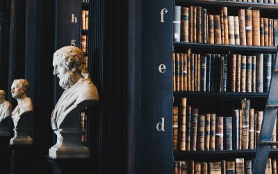 Administrative or Absolute? A Developer’s Checklist of Duties During the Period of Administrative Control